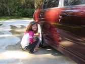 Enlarge photo 282
