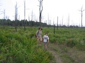 Enlarge photo 52
