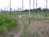 Enlarge photo 53