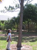 Enlarge photo 116