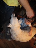 Enlarge photo 275