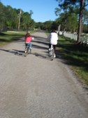 Enlarge photo 281