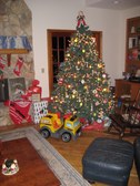 Enlarge photo 295