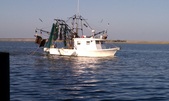 Enlarge photo 32