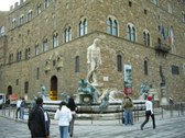 Enlarge photo 58