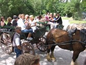 Enlarge photo 136