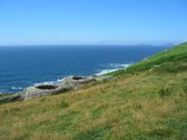 Enlarge photo 43