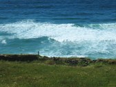 Enlarge photo 48