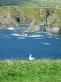 Enlarge photo 52