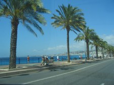 Enlarge photo 139