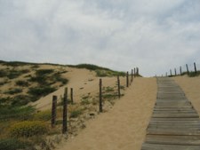 Enlarge photo 72