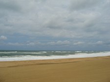 Enlarge photo 120