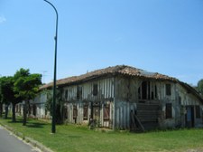 Enlarge photo 80