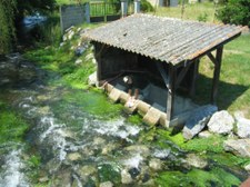 Enlarge photo 84