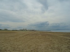 Enlarge photo 71