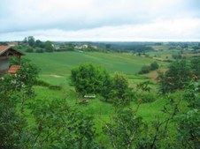 Enlarge photo 53