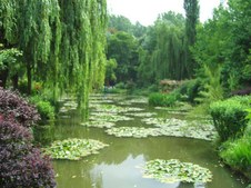 Enlarge photo 22