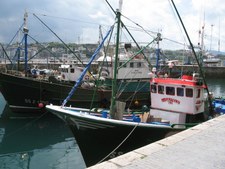 Enlarge photo 106
