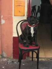 Enlarge photo 141