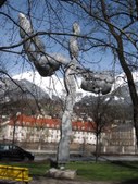 Enlarge photo 104