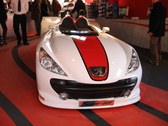 Enlarge photo 243
