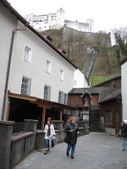 Enlarge photo 65
