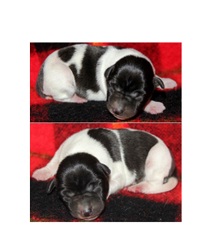 Enlarge photo 20