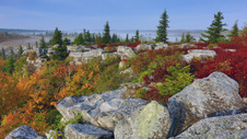 Enlarge photo 36