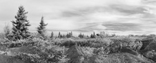 Enlarge photo 35