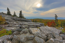 Enlarge photo 34