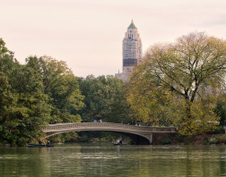 Enlarge photo 32