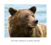 Alaska 2007