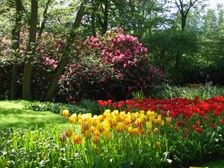 Enlarge photo 32