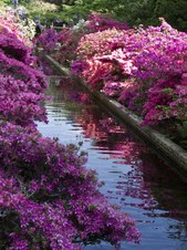 Enlarge photo 29