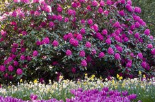 Enlarge photo 13