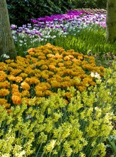 Enlarge photo 16