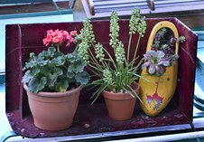 Enlarge photo 28