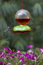 Enlarge photo 49