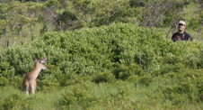 Enlarge photo 11
