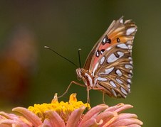 Enlarge photo 10