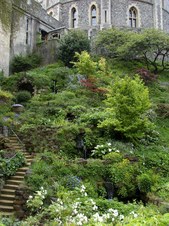 Enlarge photo 42