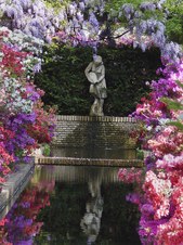 Enlarge photo 32