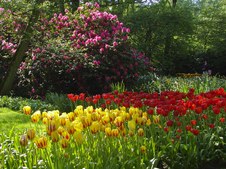 Enlarge photo 33