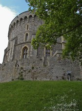 Enlarge photo 41