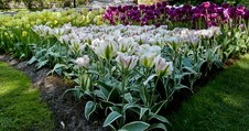 Enlarge photo 27