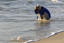 Enlarge photo 45