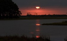 Enlarge photo 39