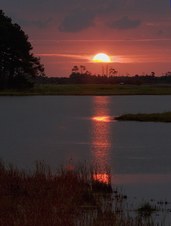Enlarge photo 40
