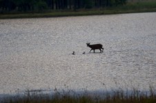 Enlarge photo 30