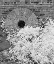 Colvin Run Mill